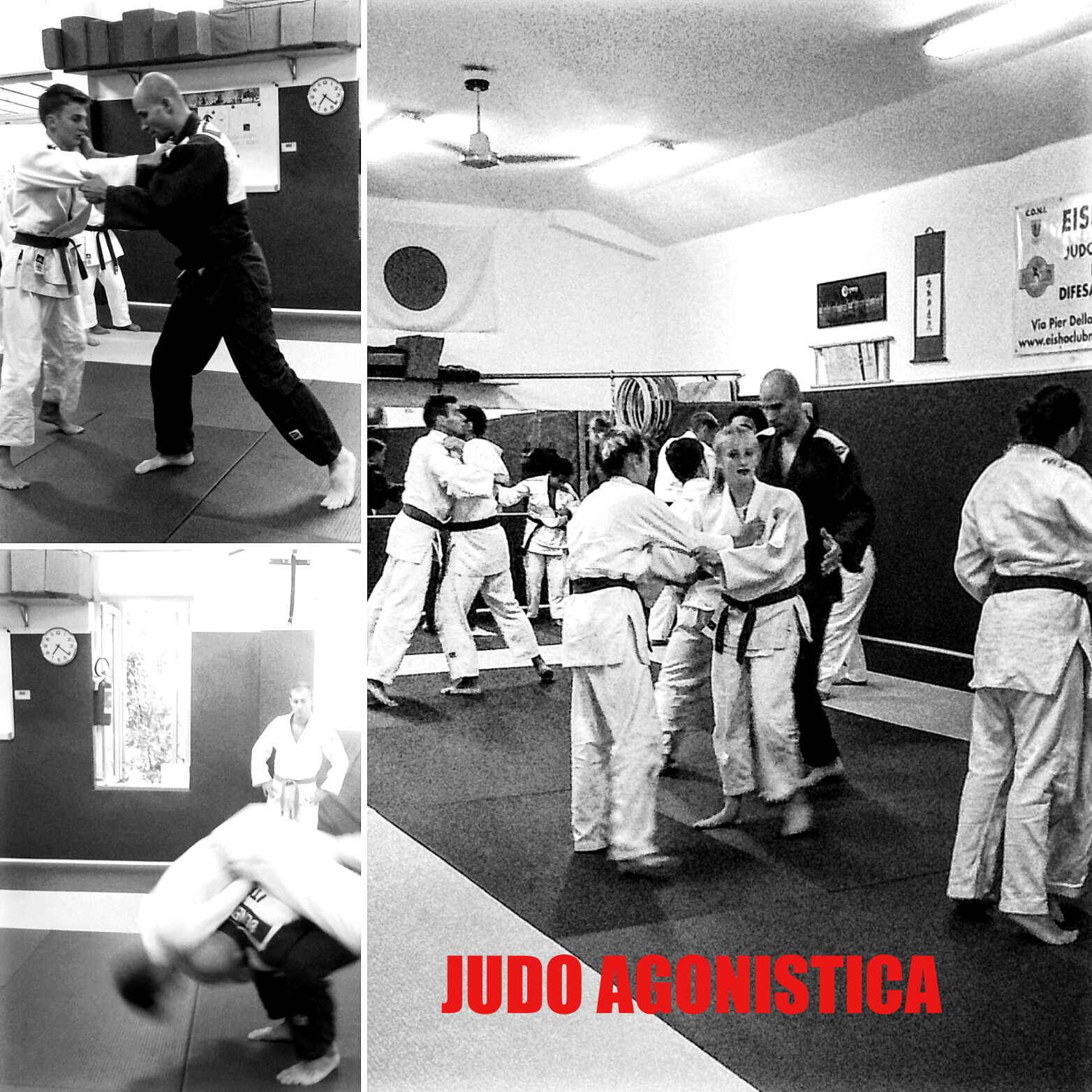 eisho_judo_agonistico.jpg